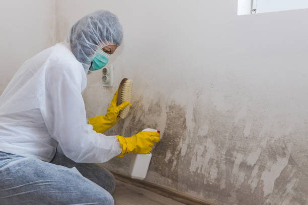 Crawl Space Mold Removal in Westgate, FL