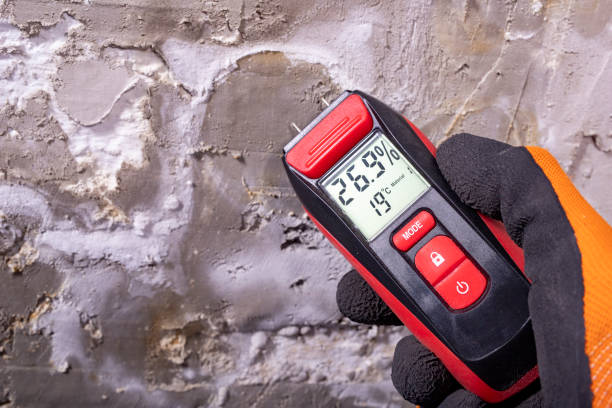 Best Residential Mold Removal  in Westgate, FL